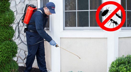 Çubuk Kemirgen İlaçlama böcek ilaçlama ve haşere kontrolü — ilaclama-tr.com